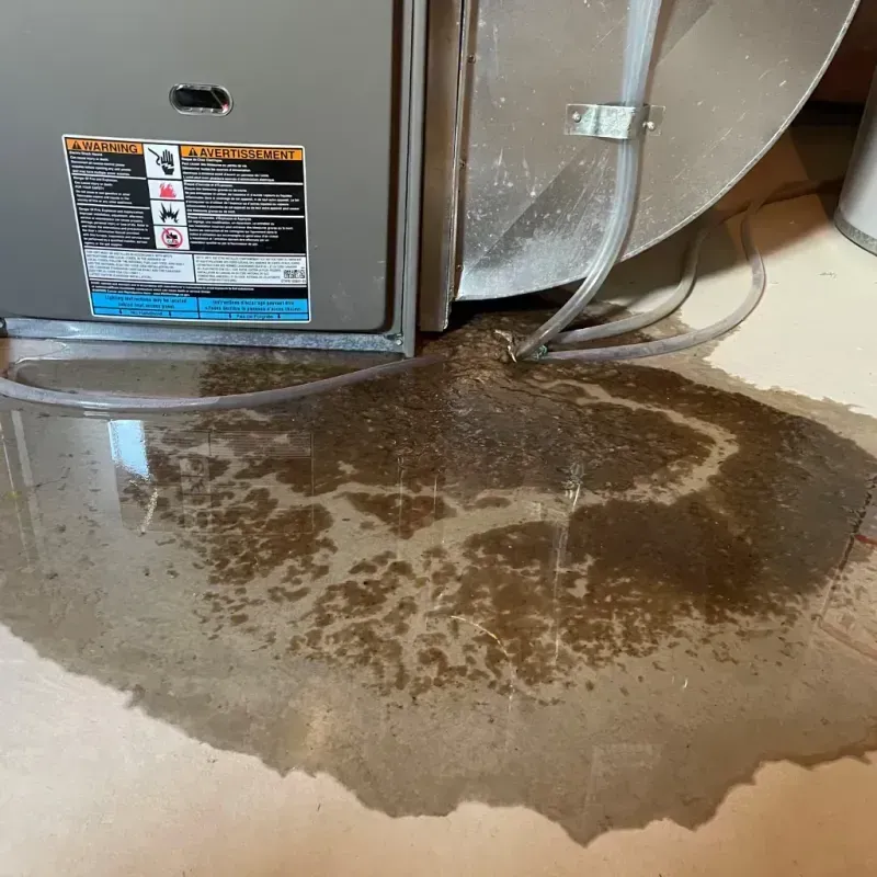 Appliance Leak Cleanup in Ionia County, MI